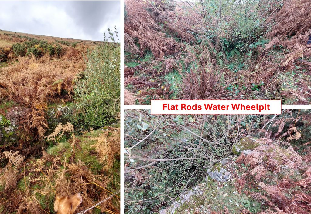 21. Flat Rods Wheelpit a