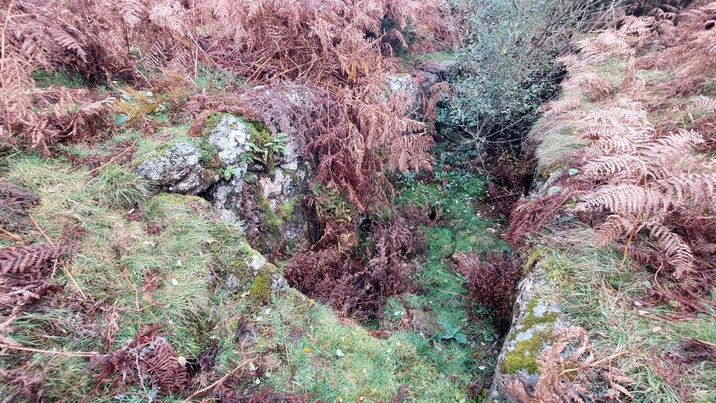 21. Flat Rods Wheelpit b