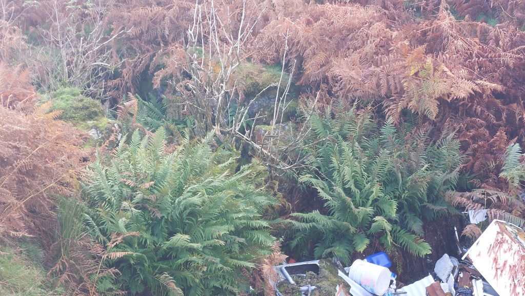 4. Etheridge's Balance Box b