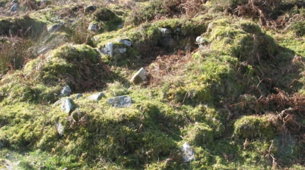5a. Tinners Hut - winter