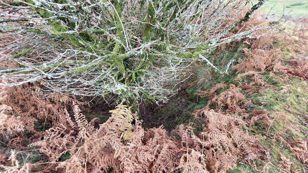 6. West Engine Shaft a