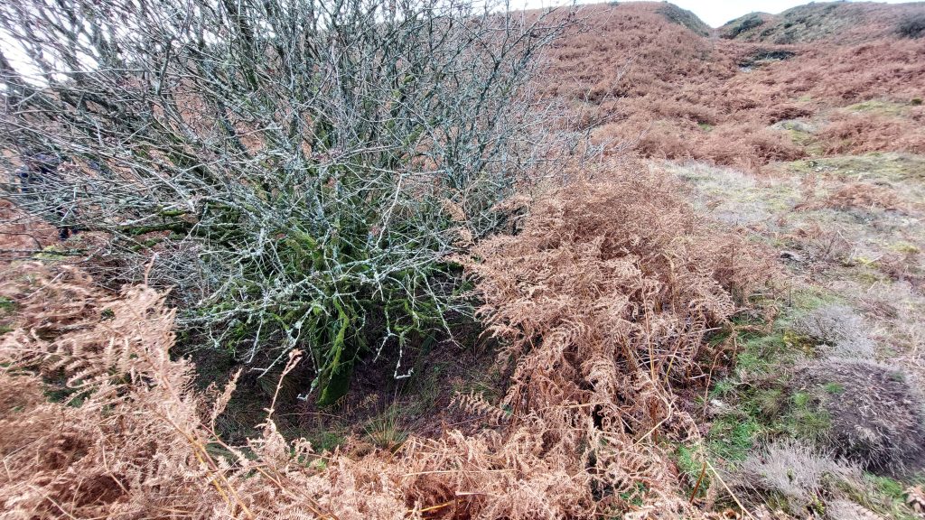 6.West Engine Shaft c