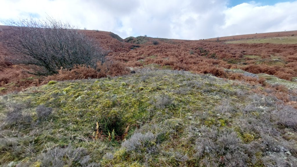 7. West Engine Shaft Whim a