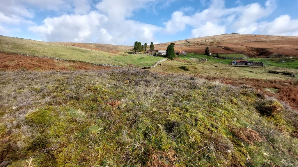 7. West Engine Shaft Whim b