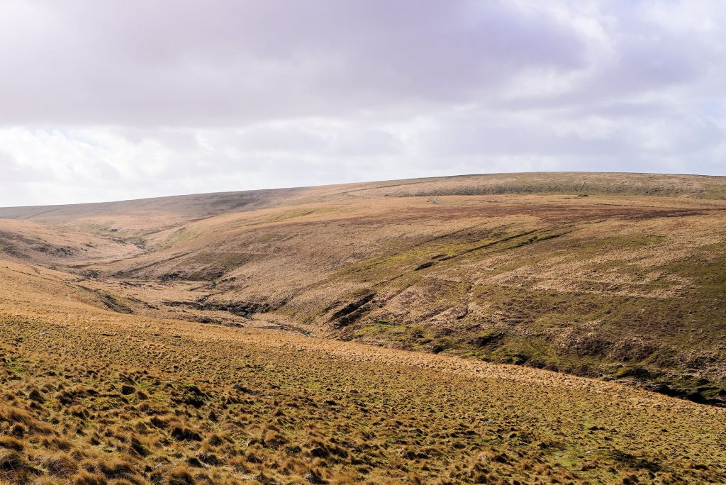 8. View from Steeperton