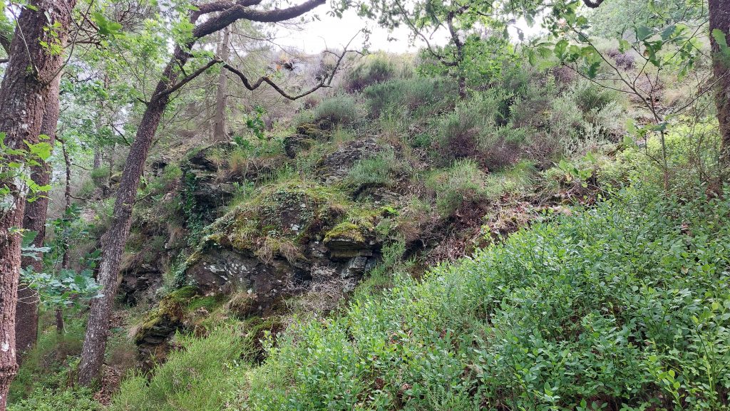 Cleft Rock