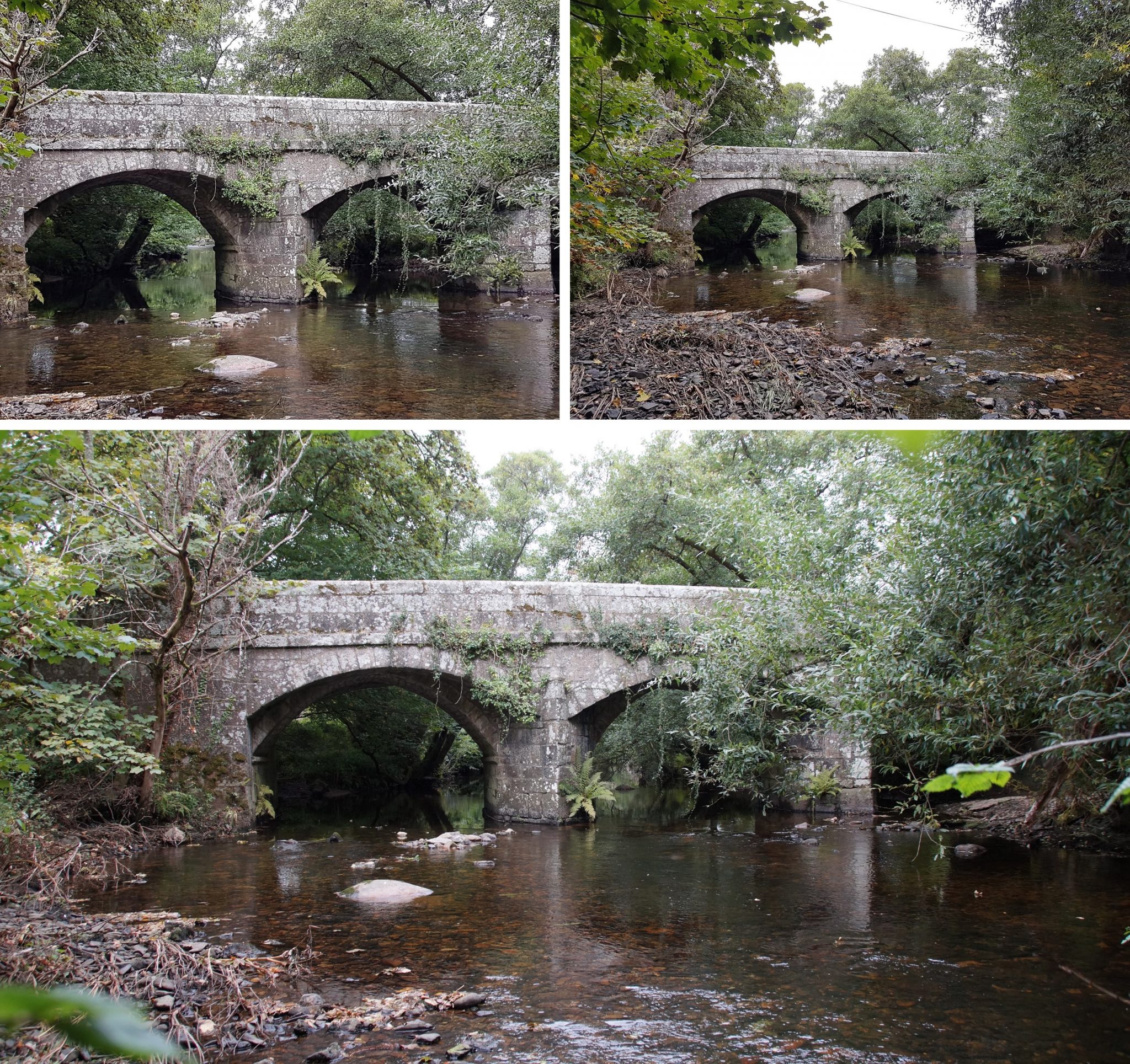 Clifford Bridge Dartmoor Explorations
