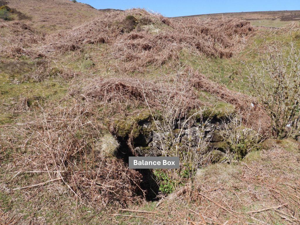 4. Etheridge's Balance Box a