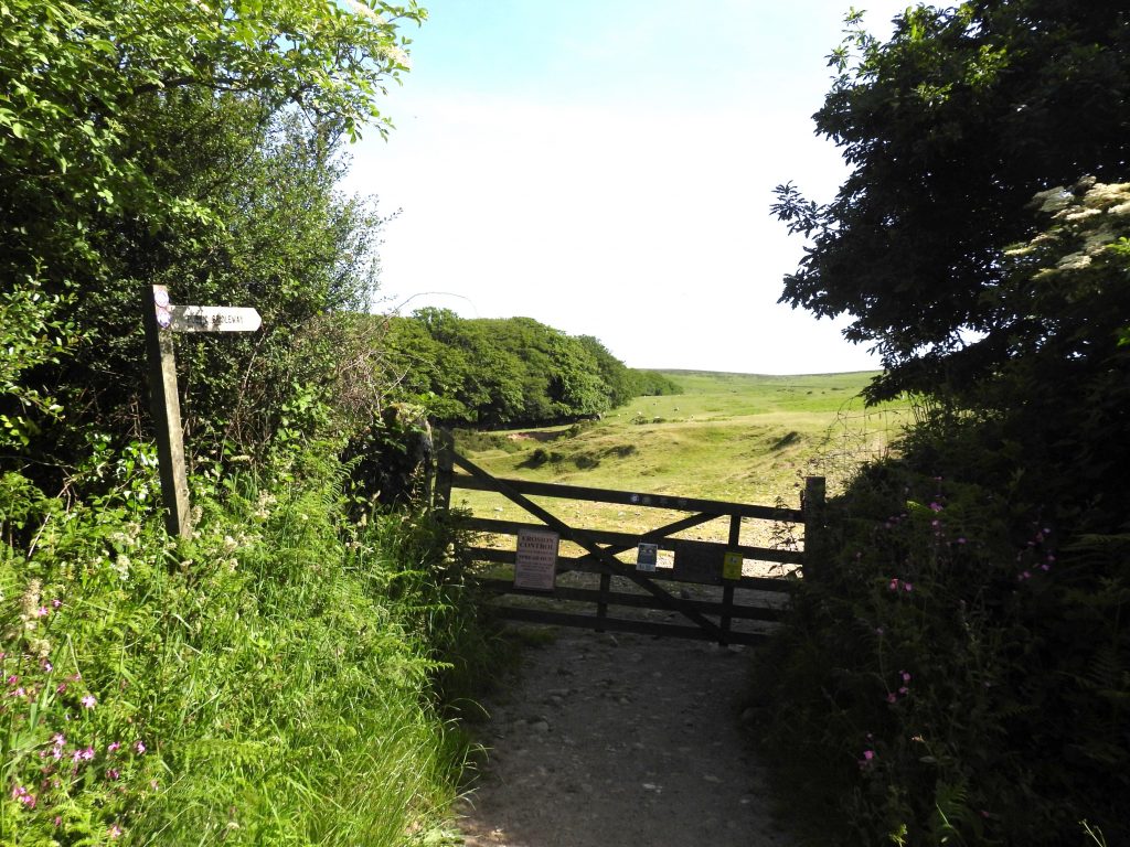 13. Stowford Moor Gate