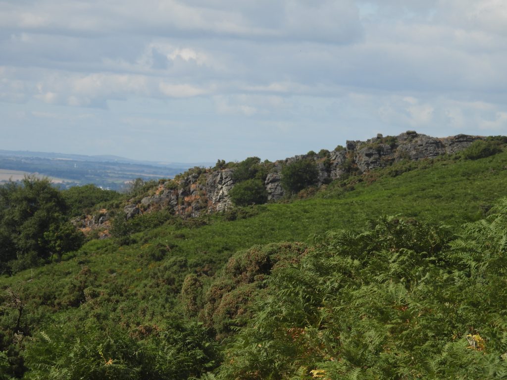 137. Cleave Tor