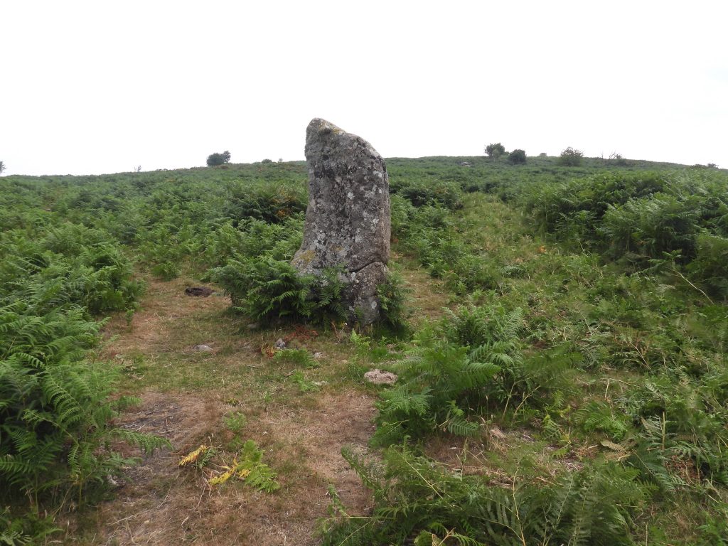29a. Standing Stone