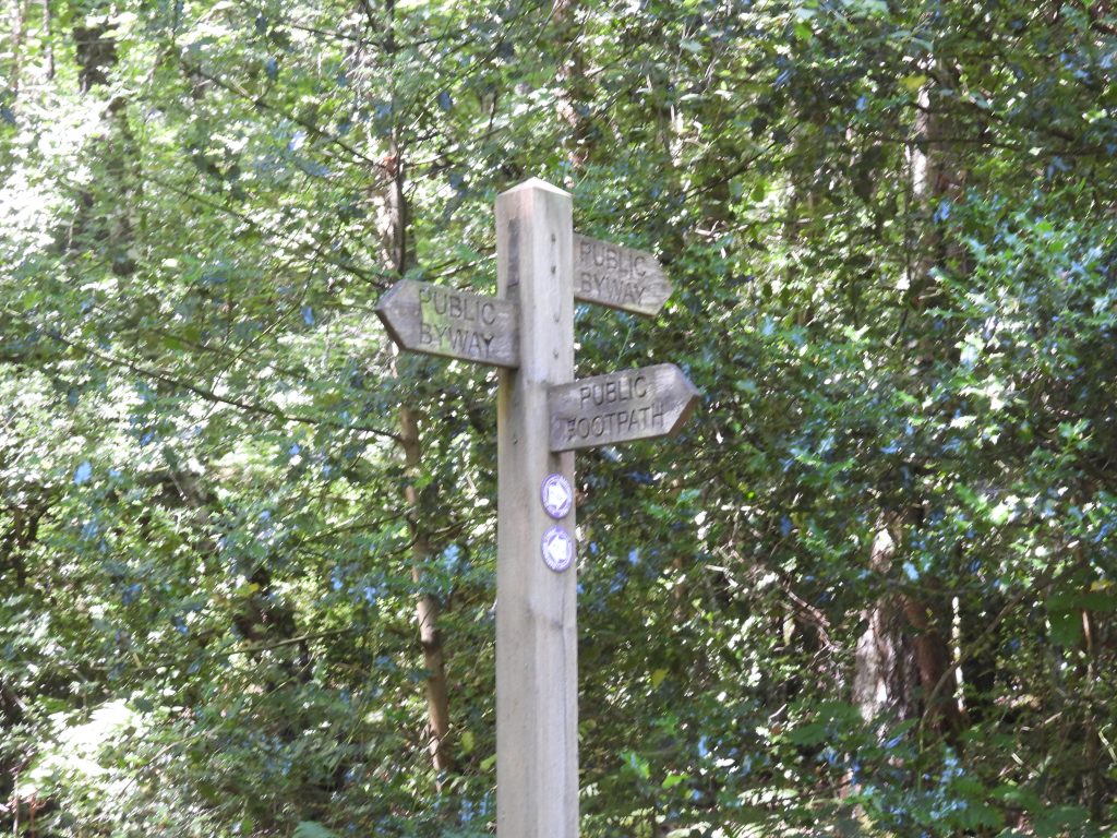 31. Signpost