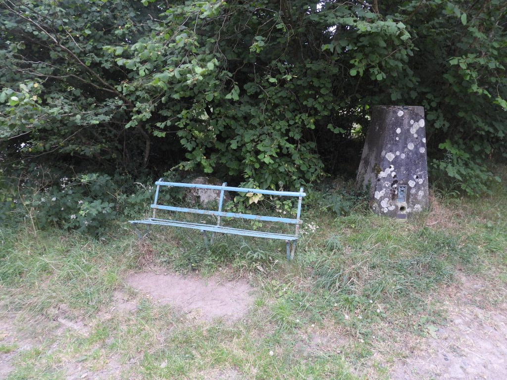 36. Trig and Bench