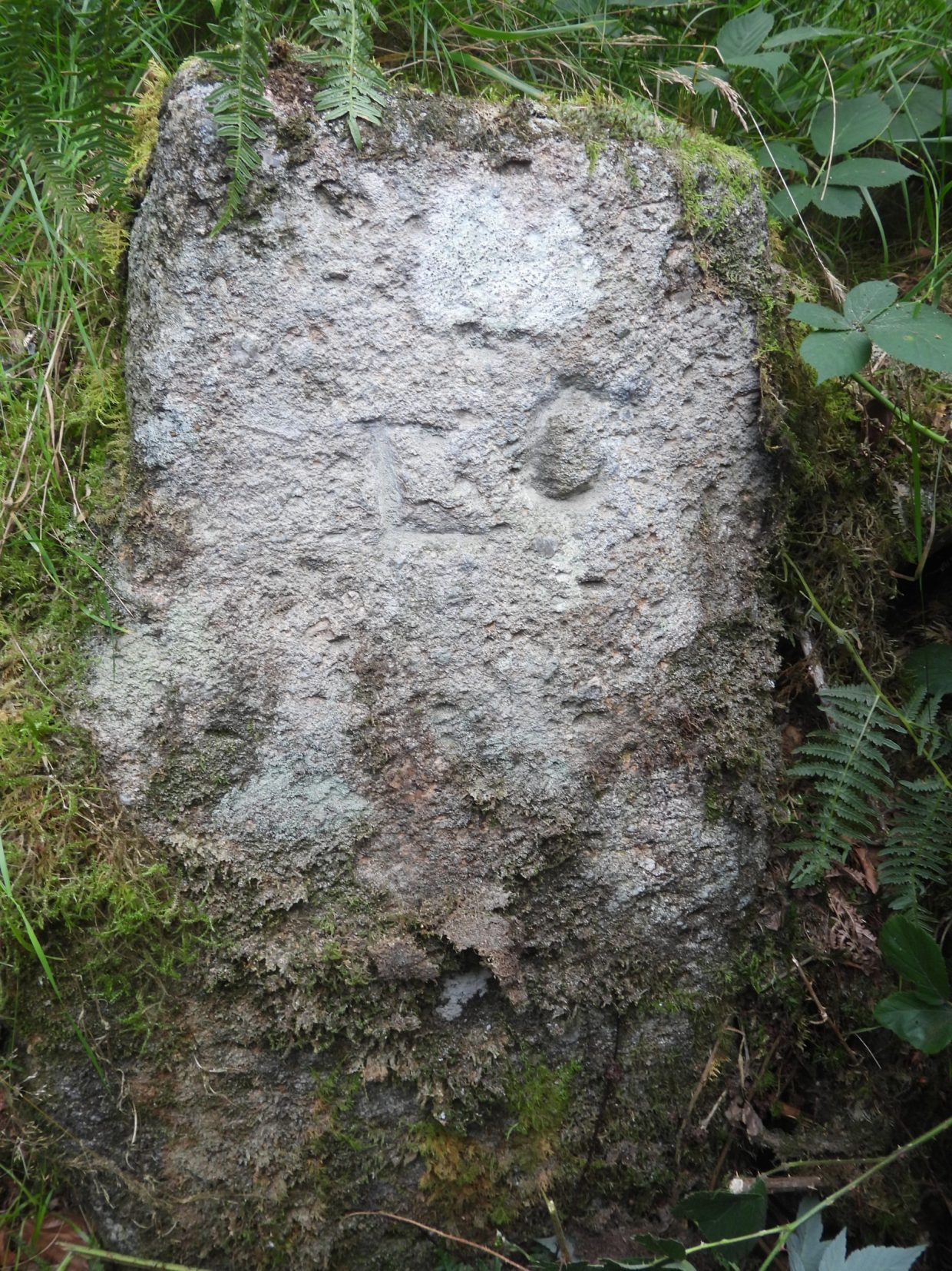 Postgate Farm Inscription Mystery inscription on gatepost of Vinneylake Farm Enclosures ...
