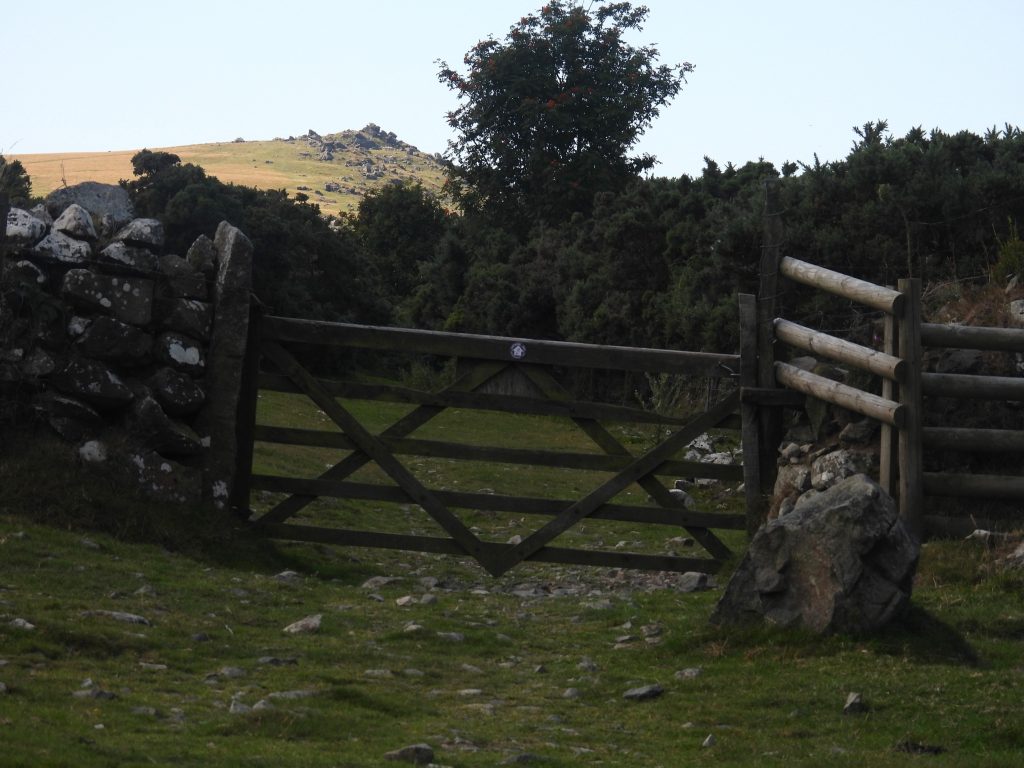 50. Gate and Sourton Tors