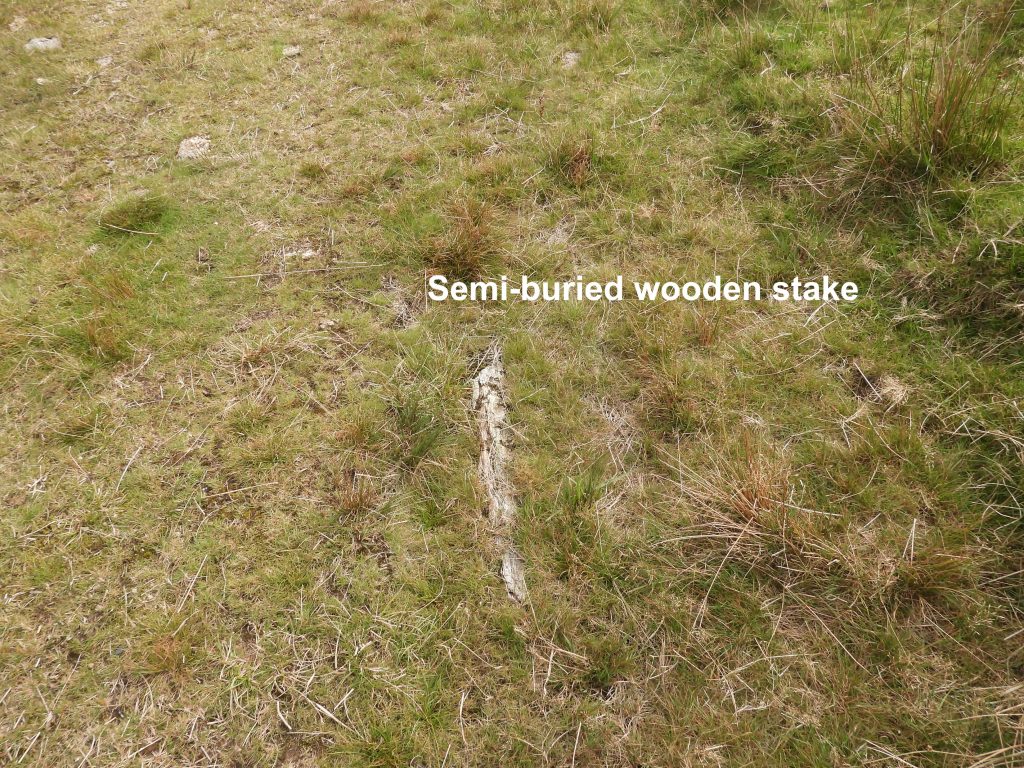 12. Wooden stake