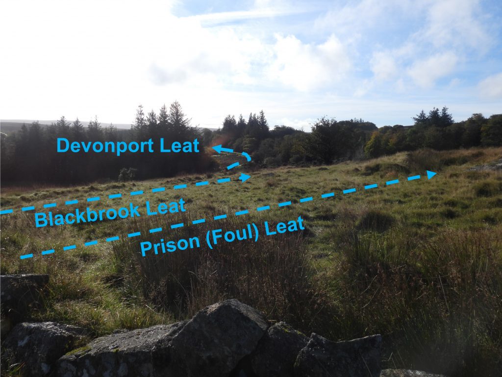 6. Prison and Blackbrook Leat a