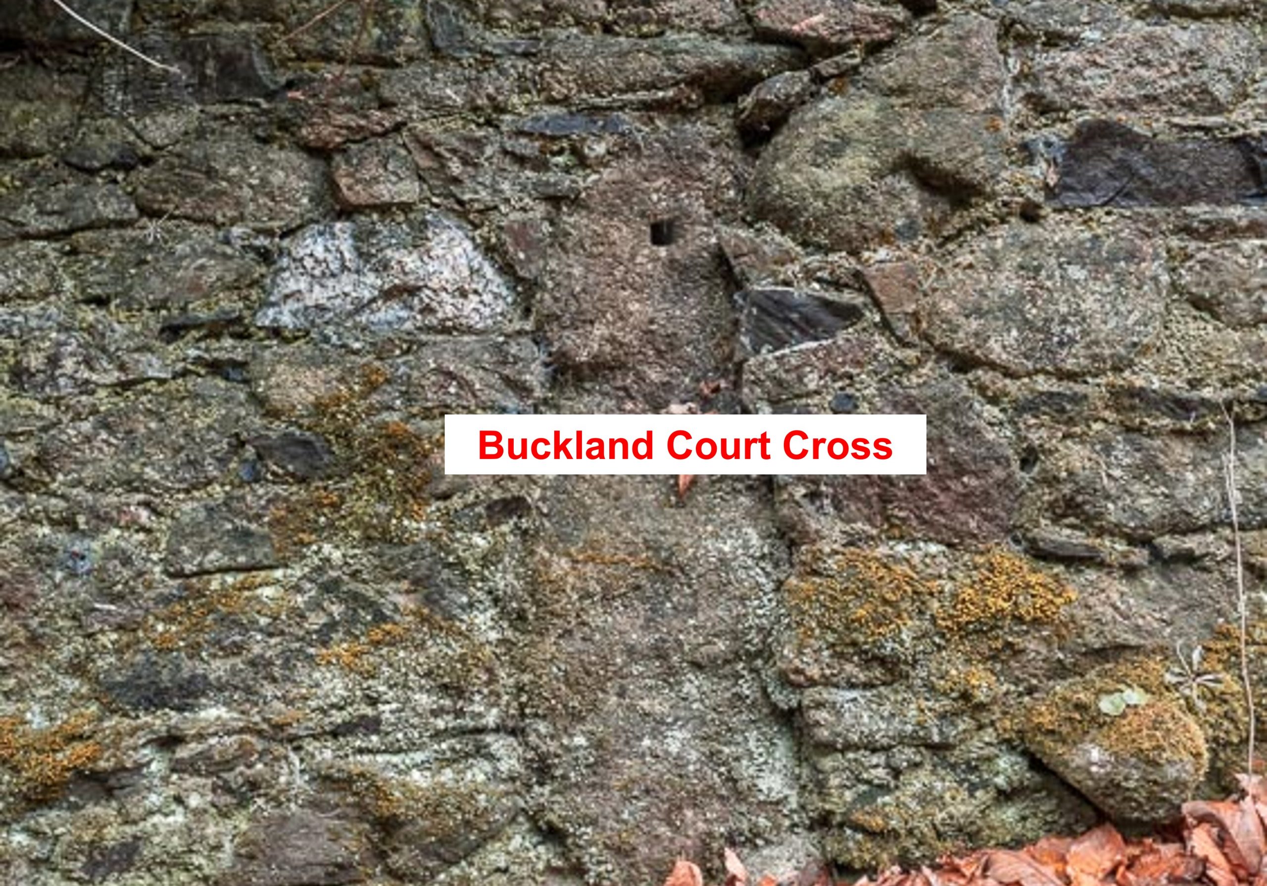 21. Buckland Court b Cross