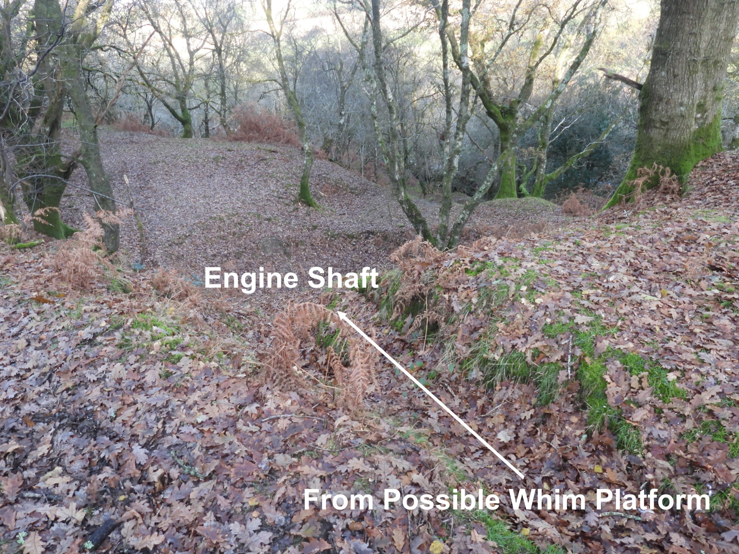 17. Whim and Engine Shaft a