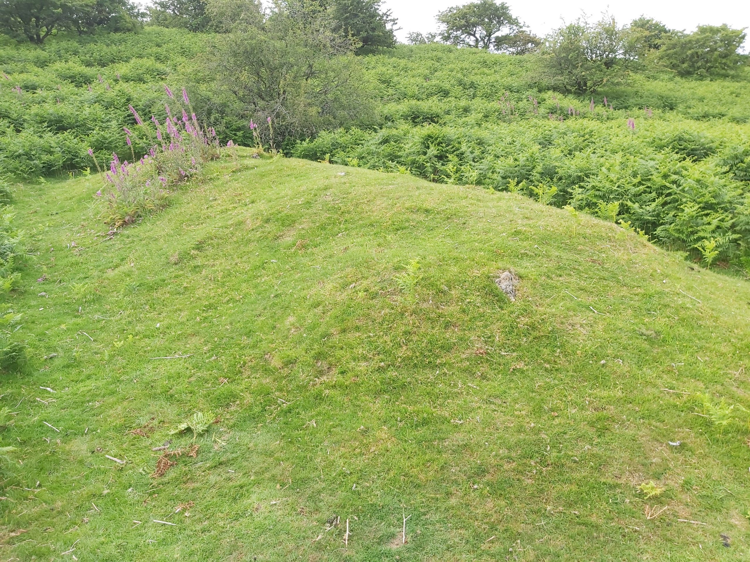 3. Pillow Mound 1