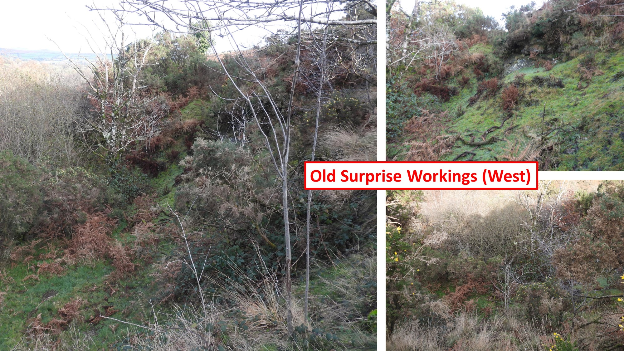 39. Old Surprise Workings West a