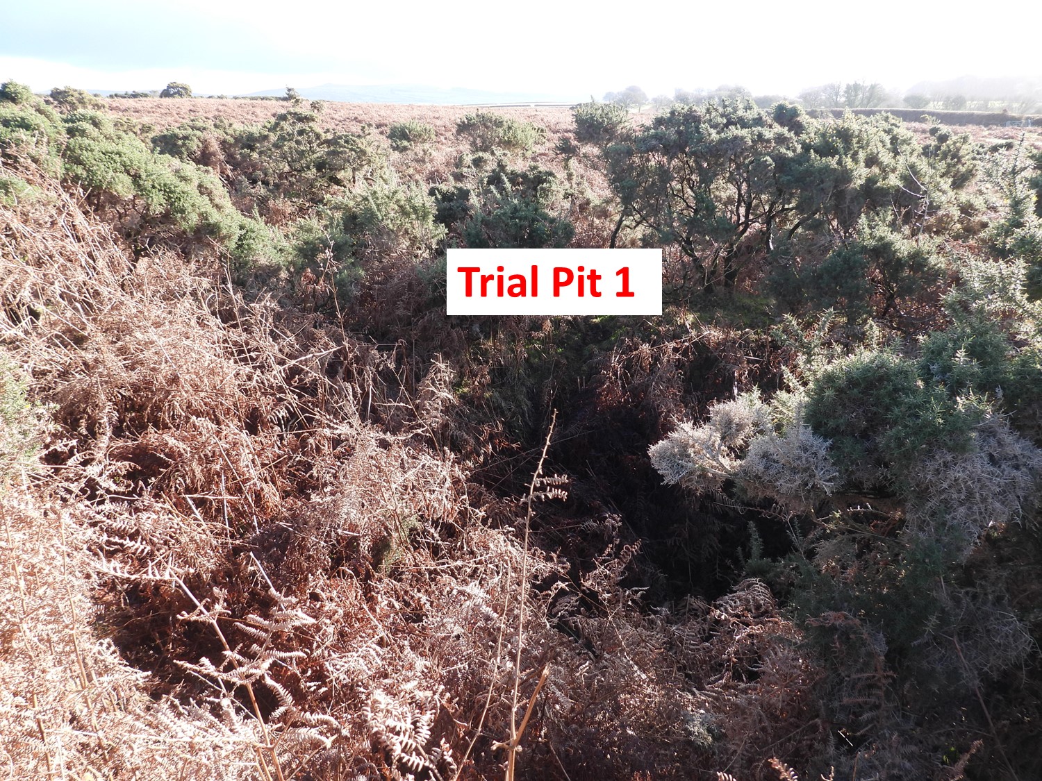 8. Trial Pit 1