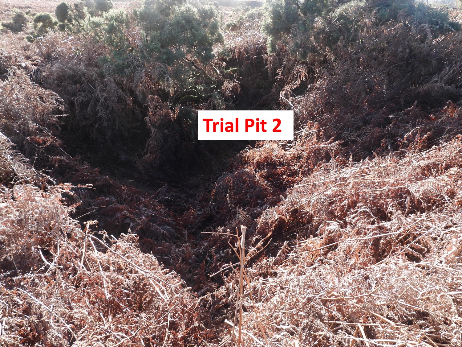 8. Trial Pit 2