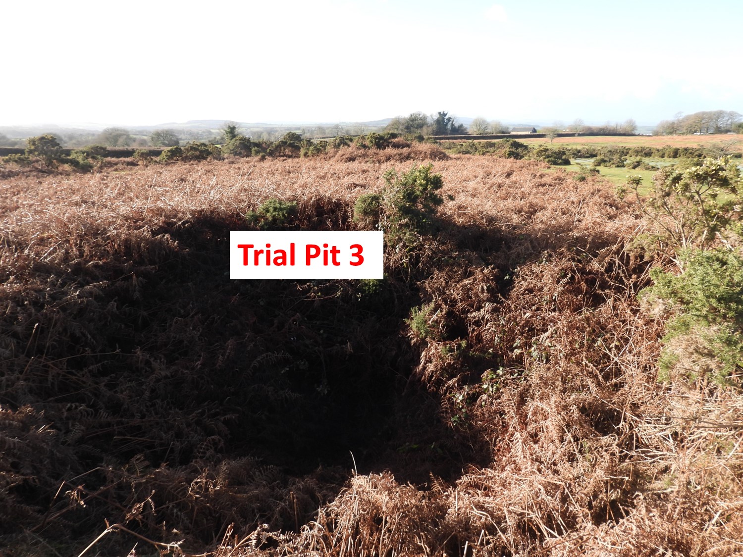 8. Trial Pit 3
