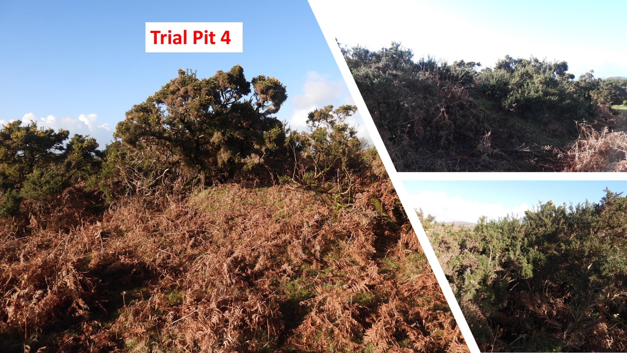 8. Trial Pit 4