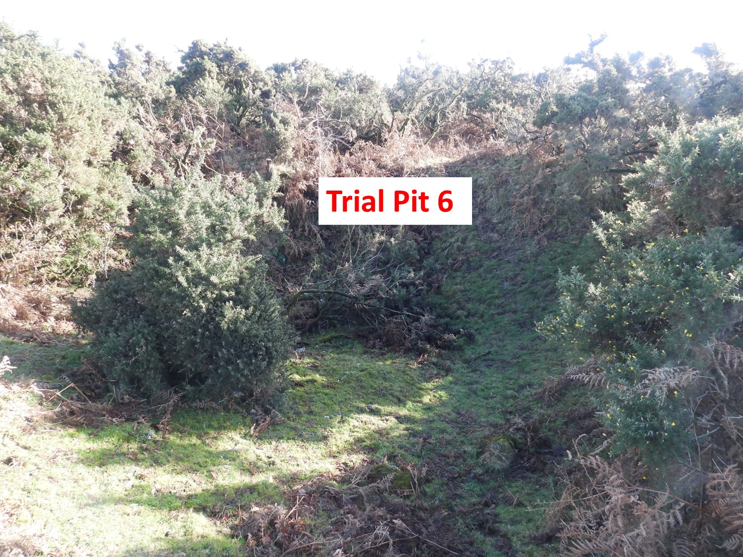 8. Trial Pit 6