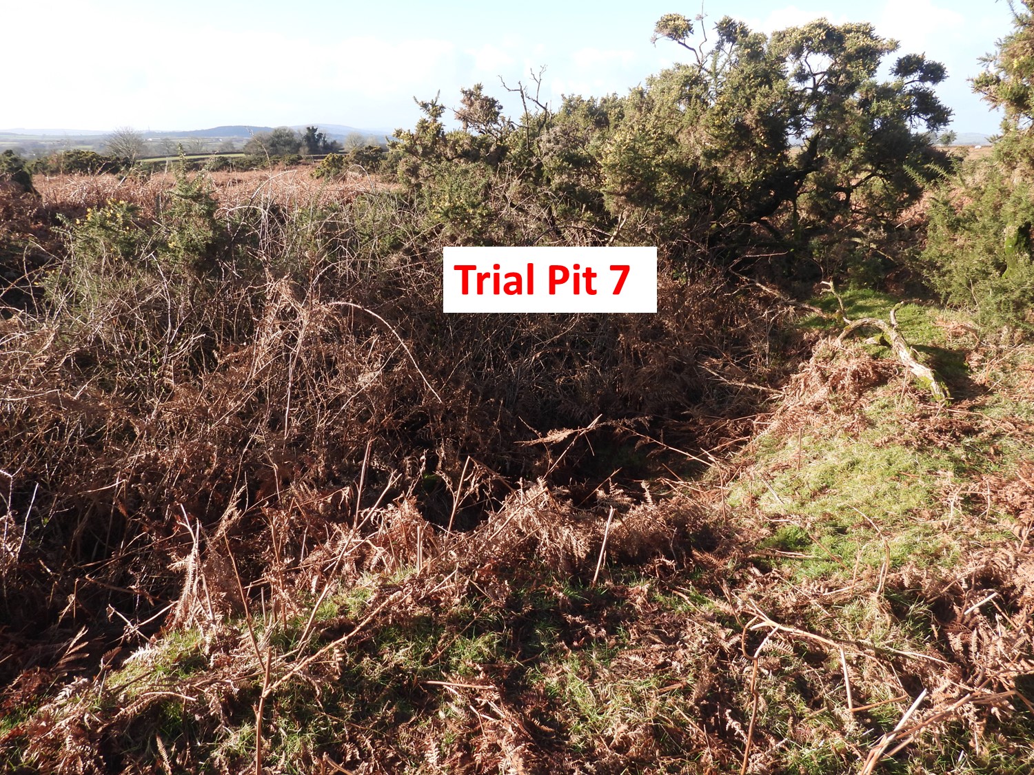 8. Trial Pit 7