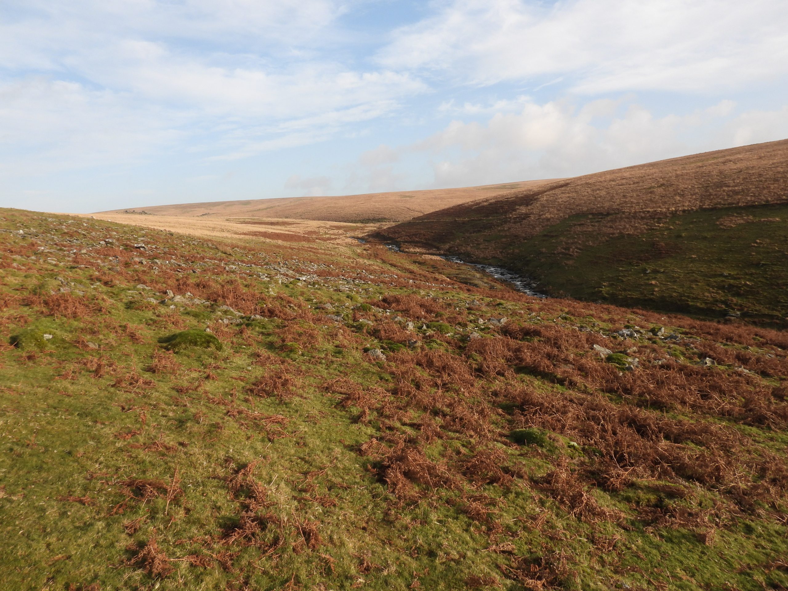 1. Plym Valley upstream from Drizzlecombe