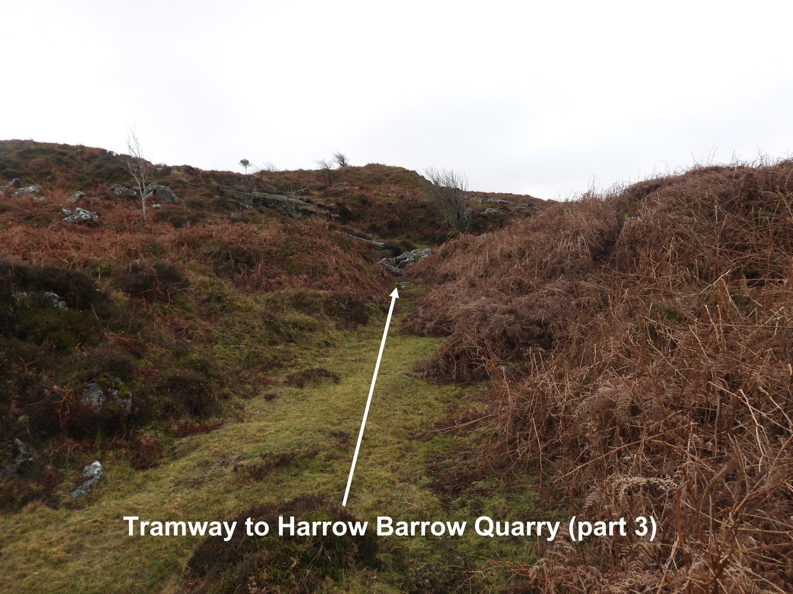 29c. Harrow Barrow part 3