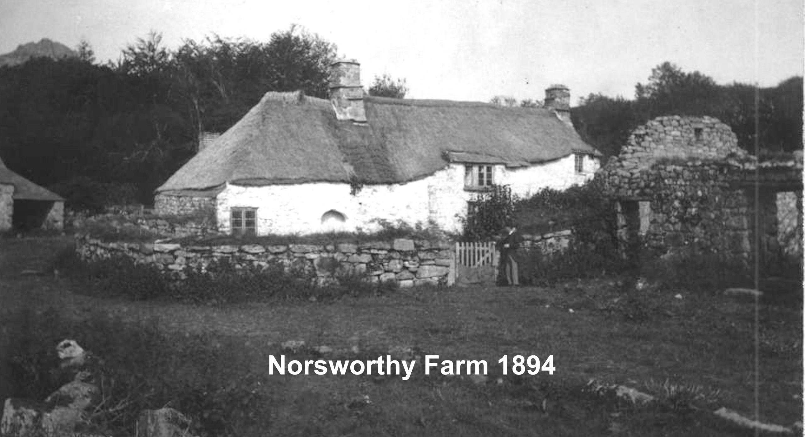 1. Norsworthy 1894