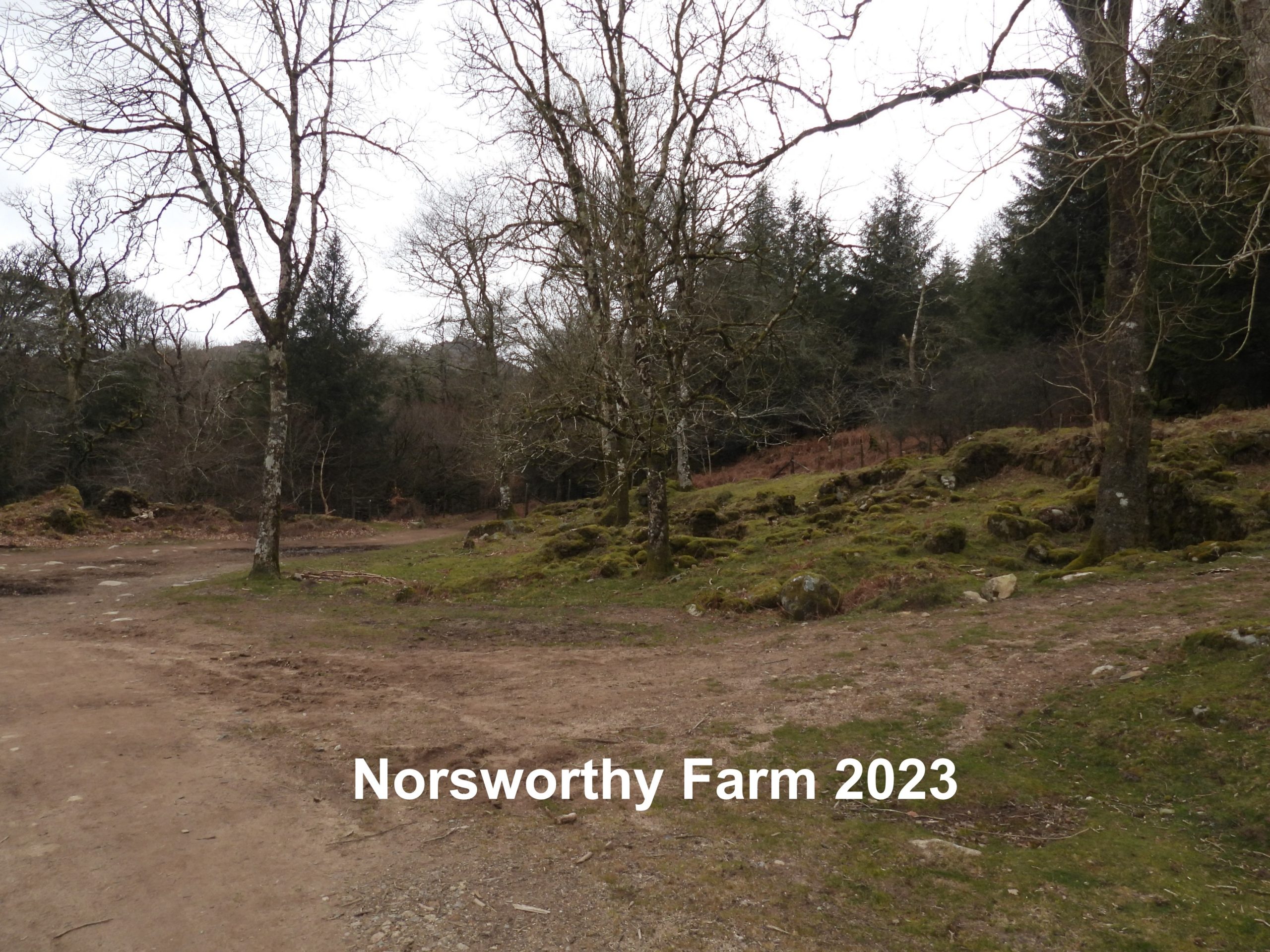 2. Norsworthy 2023