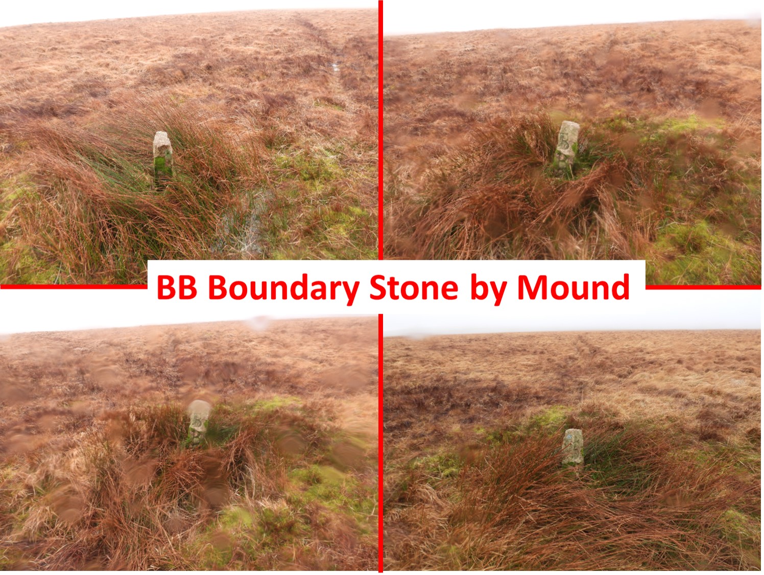 3. BB by Mound 2
