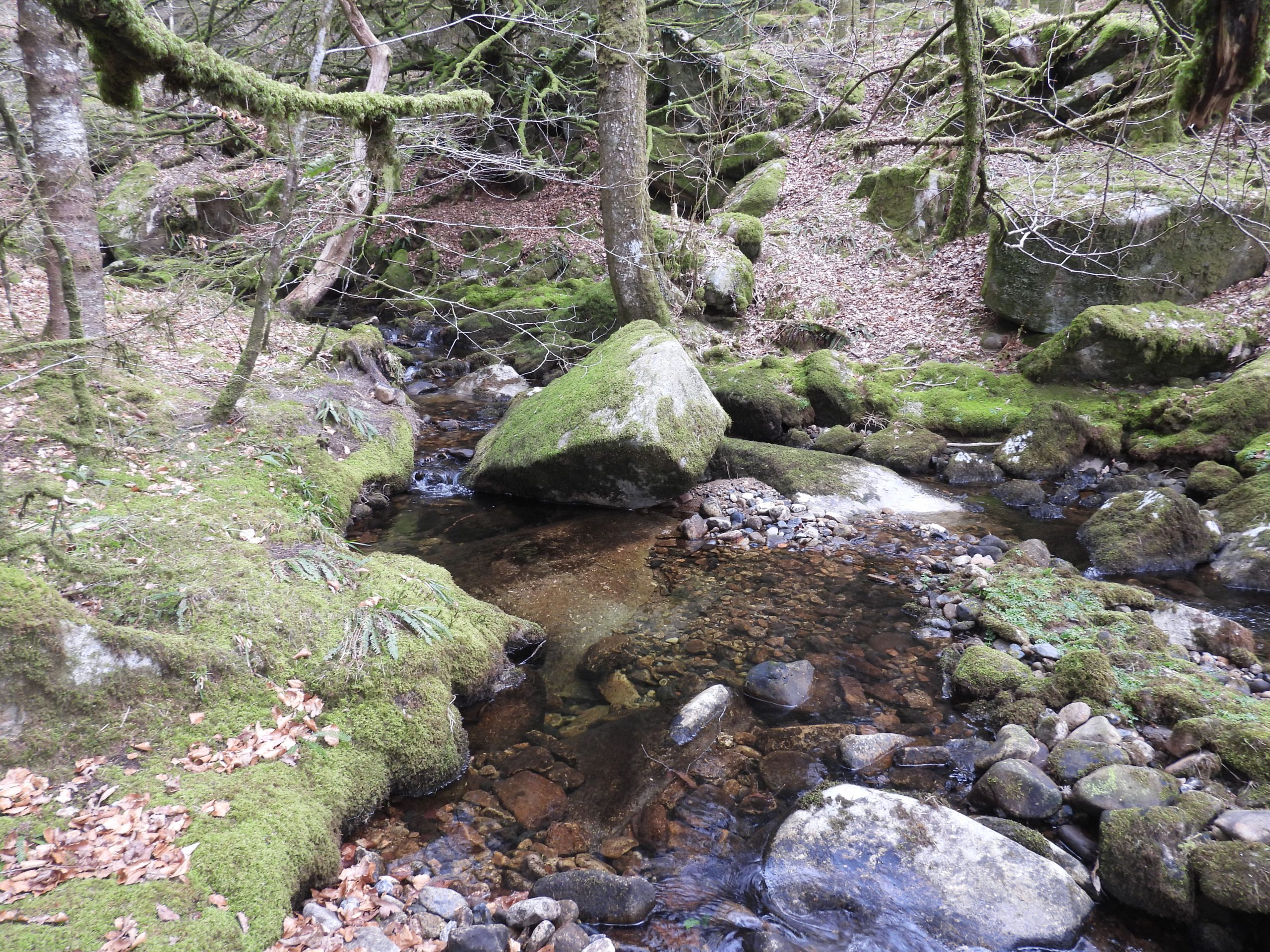 4. River Meavy