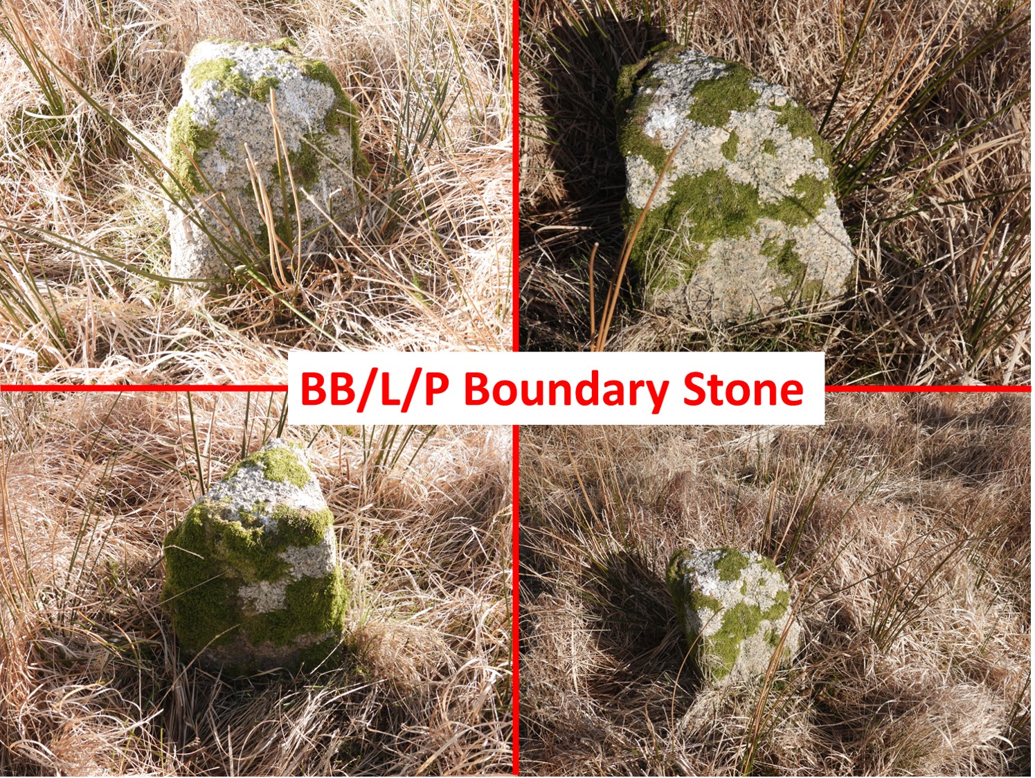 8. BLP Stone 1