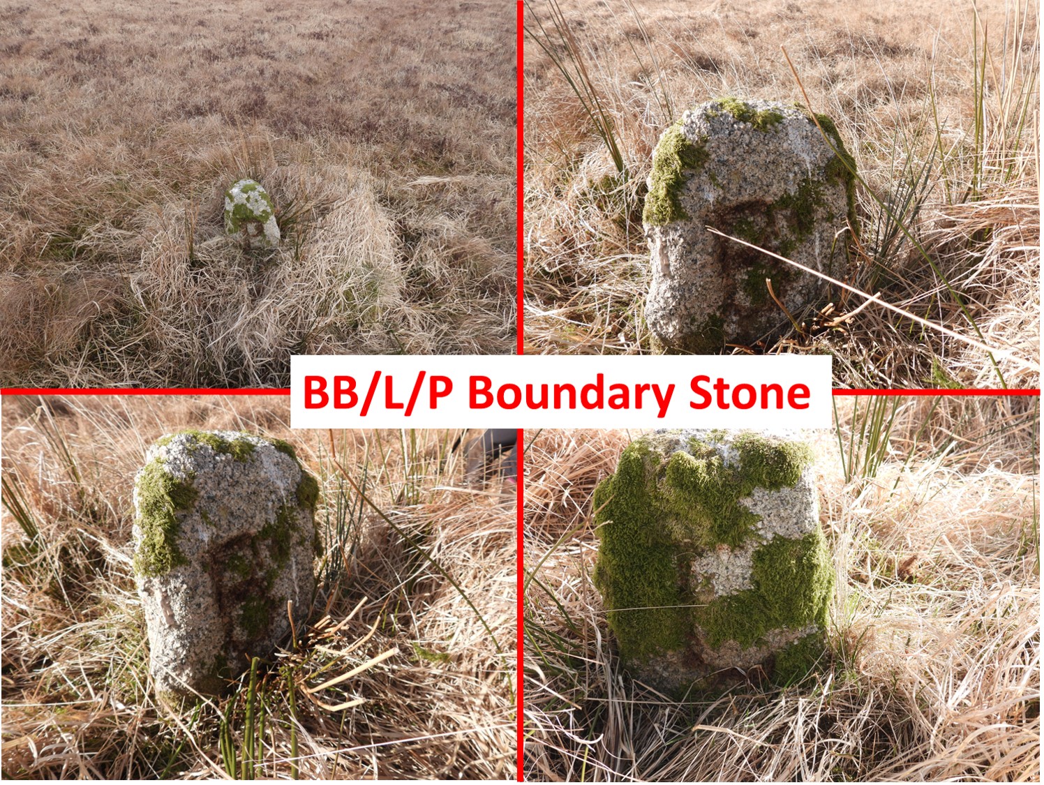 8. BLP Stone 2
