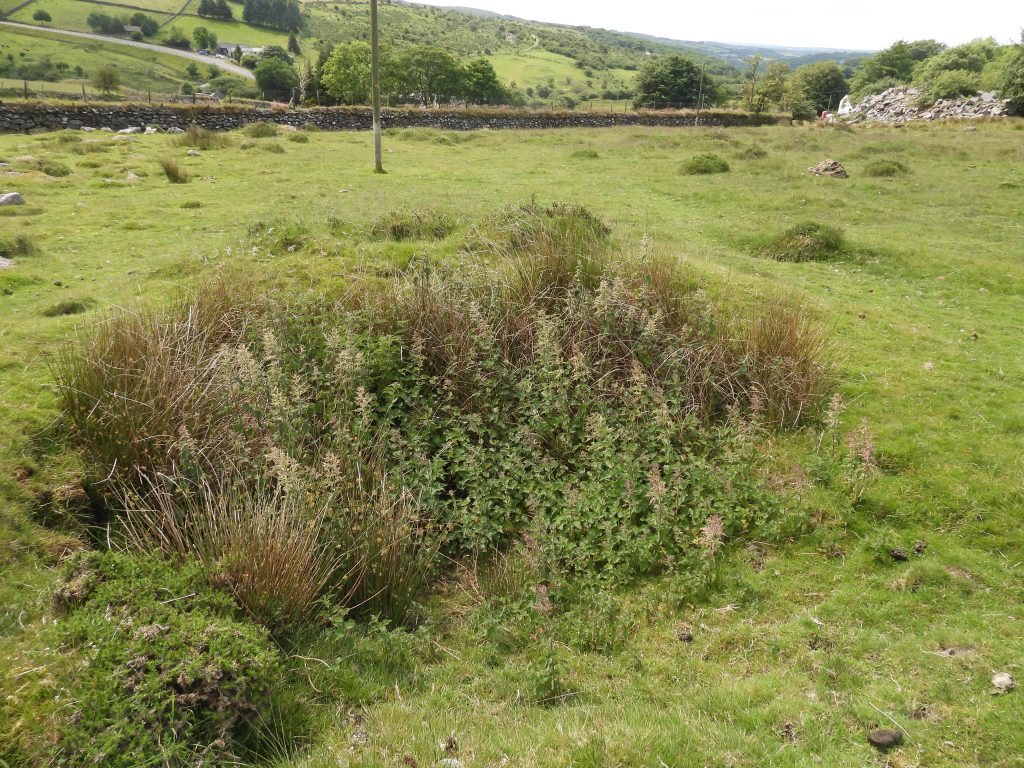 17. Shaft near Middle Dressing Floor