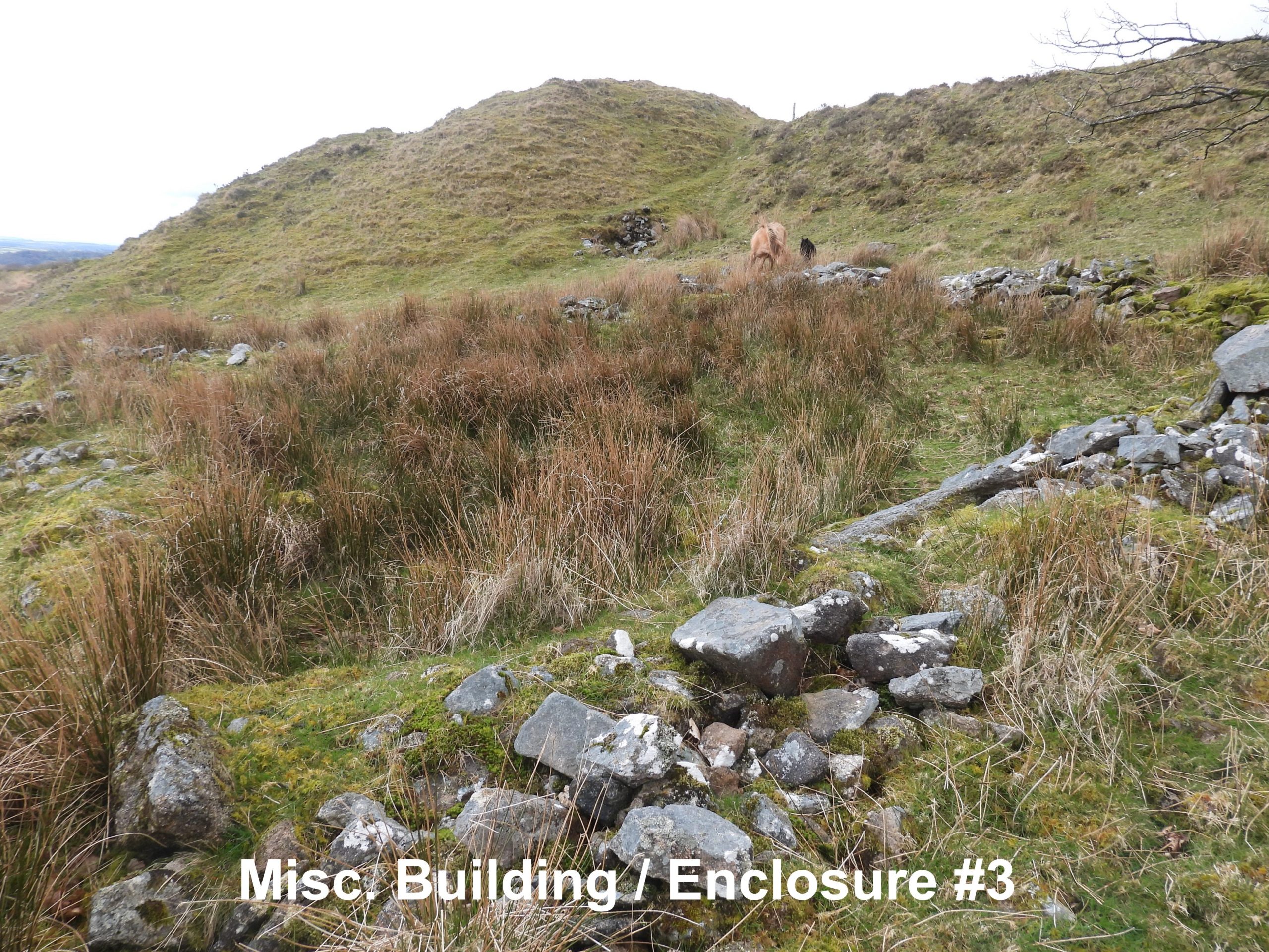 18. Misc Building Enclosure #3