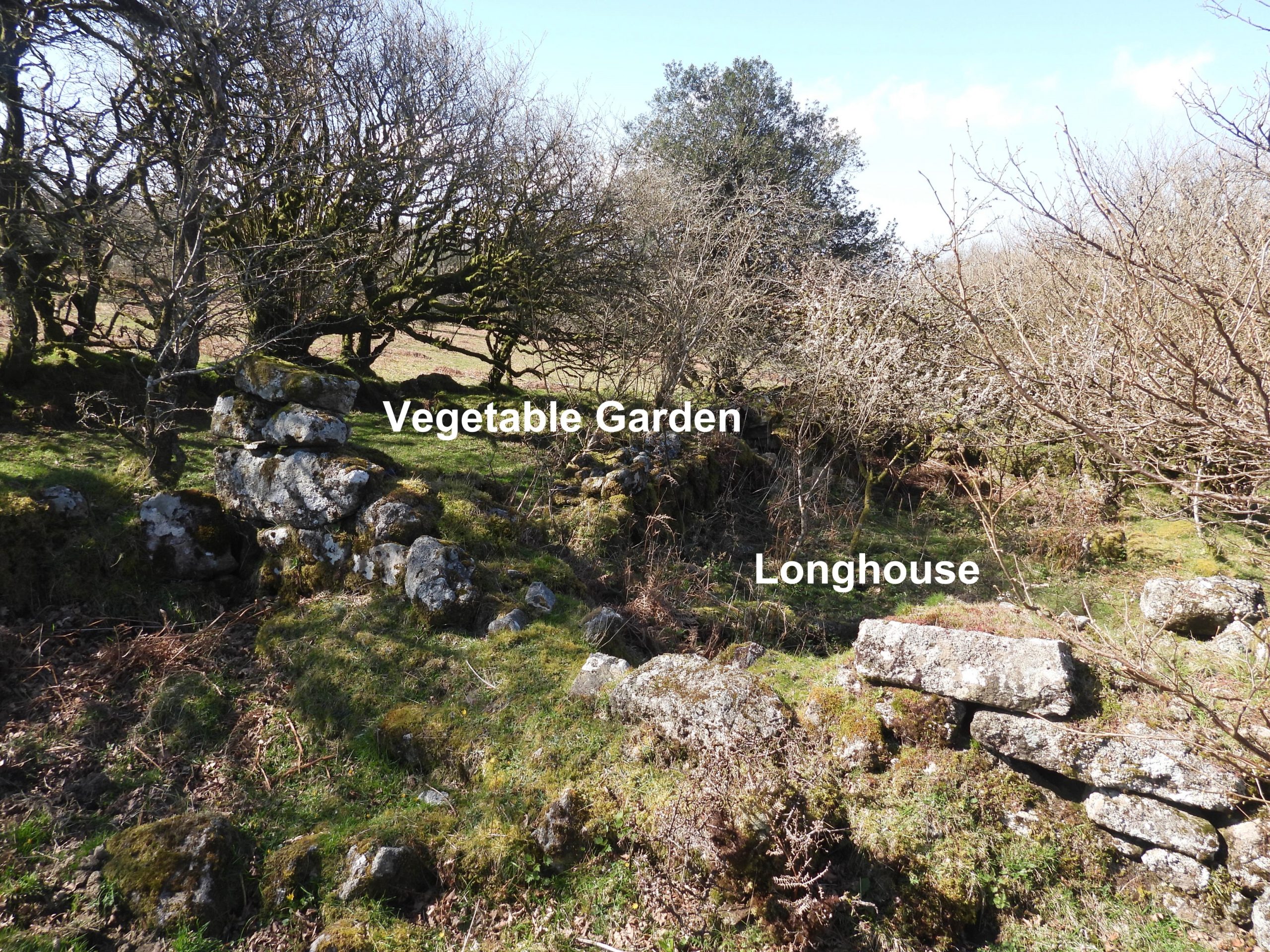 2. Longhouse and Vegetable Garden