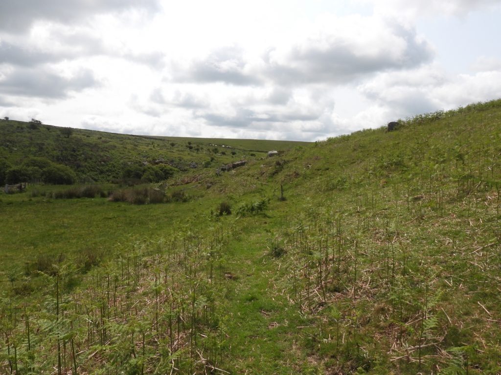 27a. Leat