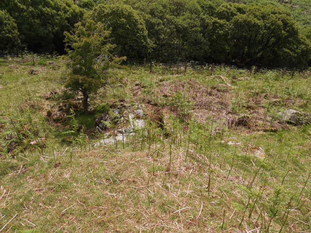 28. Leat Embankment and Wheelpit at Lower Dressing Floor