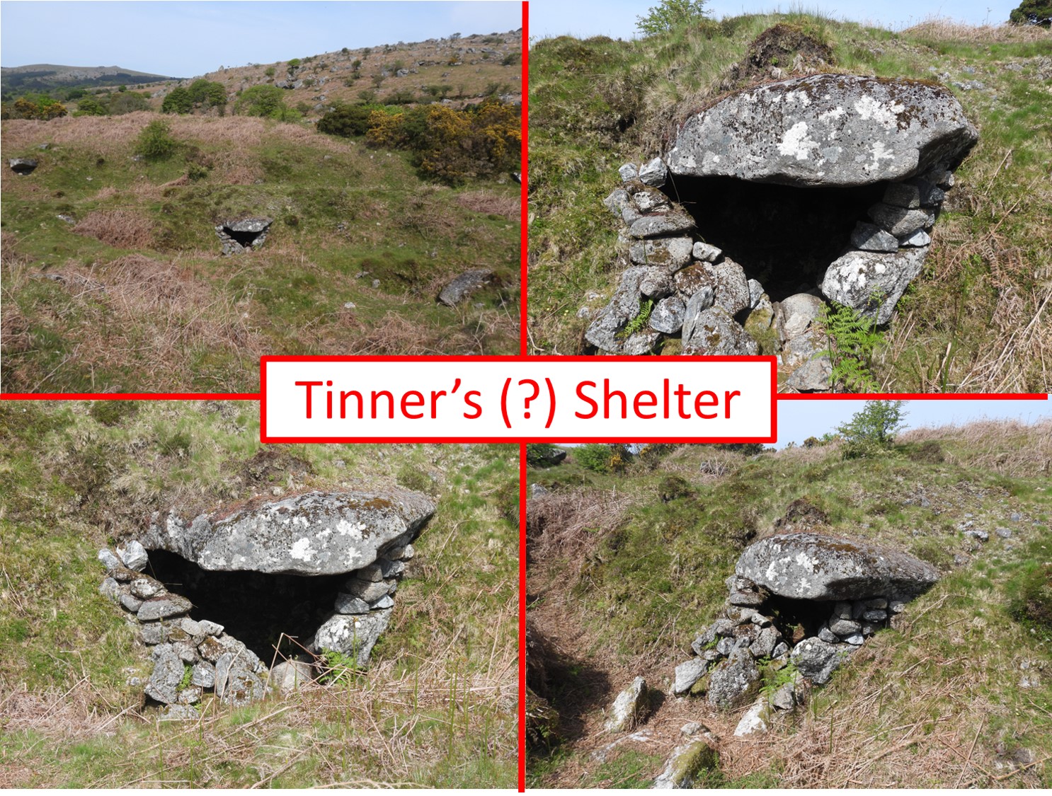 12. Shelter 1a