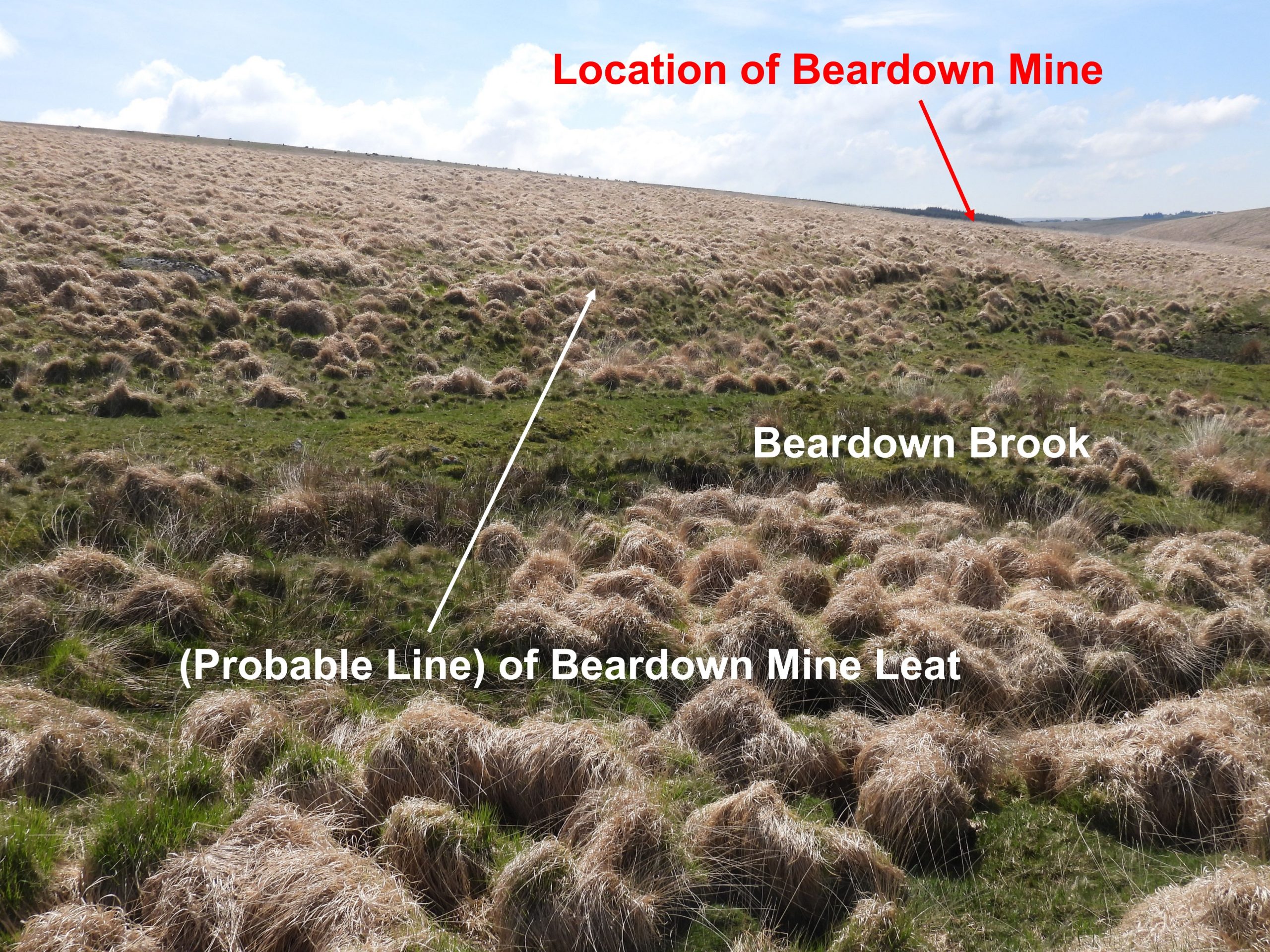 6. Beardown Mine Leat b