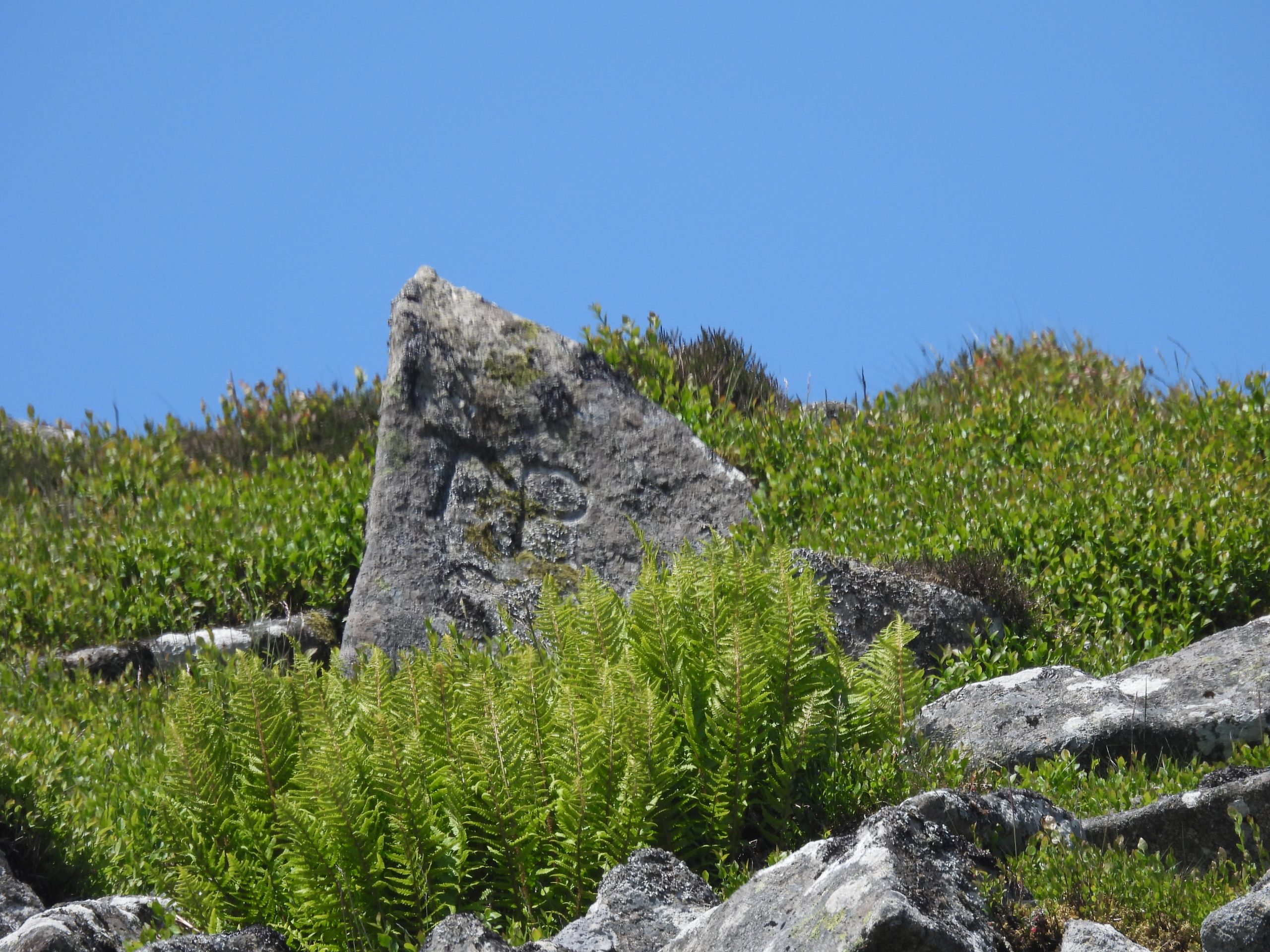 14. 'TP' stone above Wild Tor Clitter a