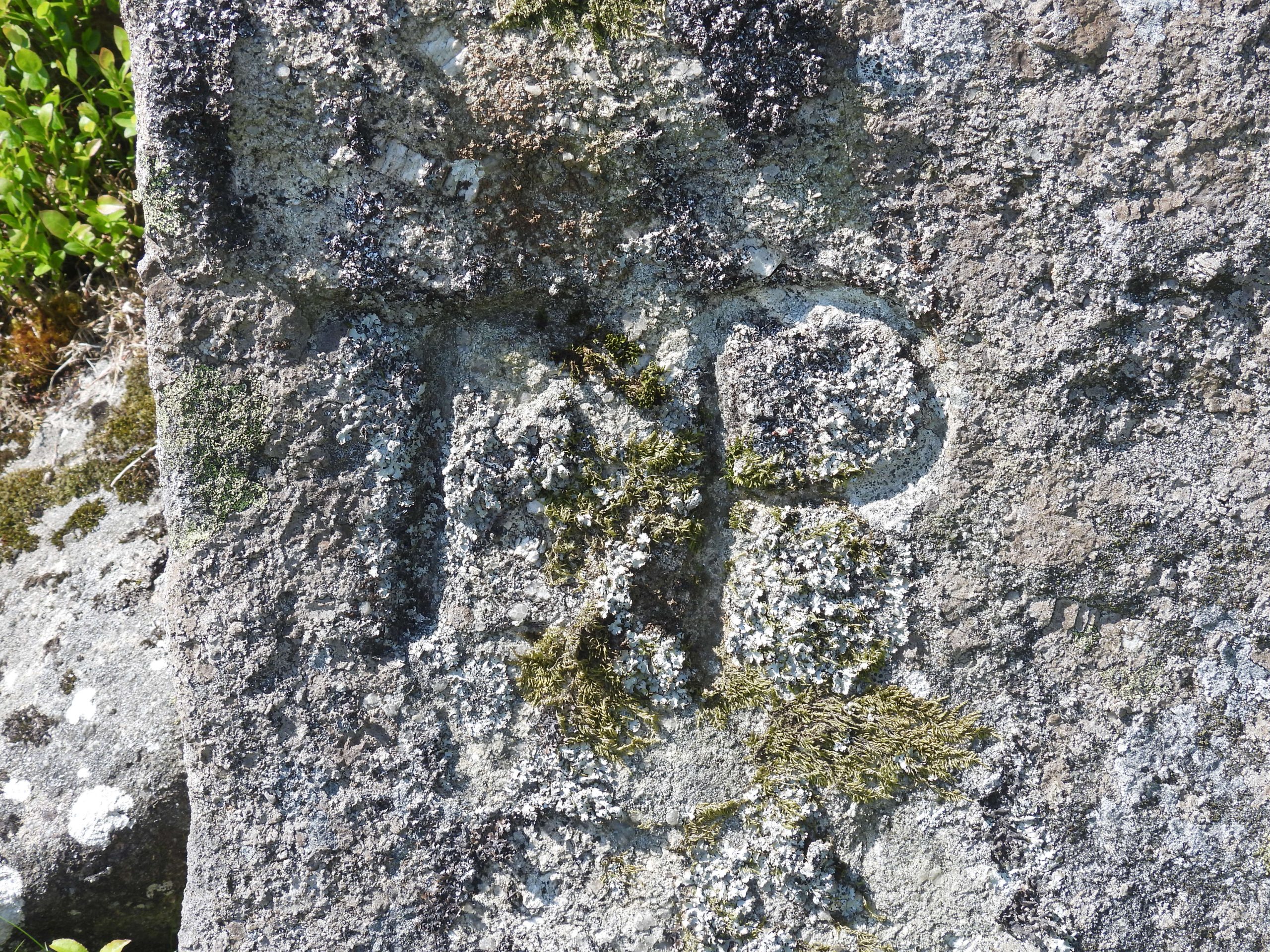 14. 'TP' stone above Wild Tor Clitter d