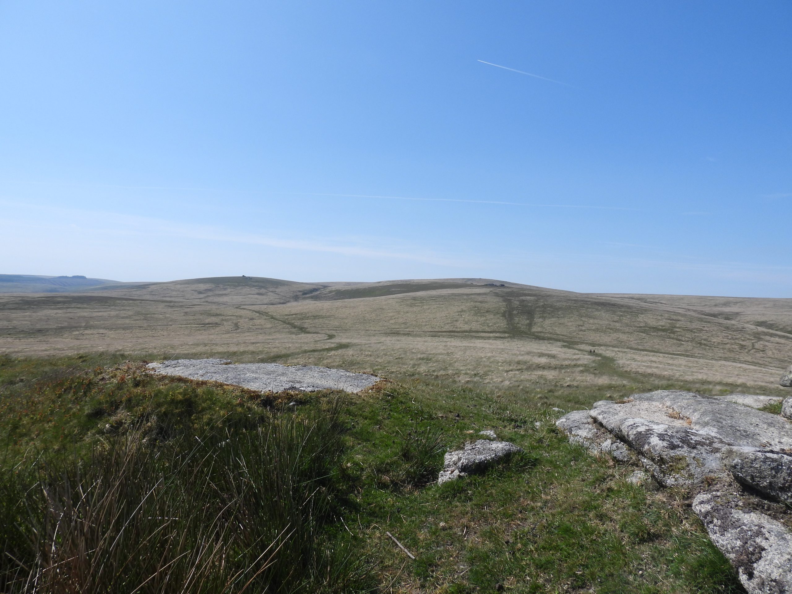 3. View from Hound Tor a
