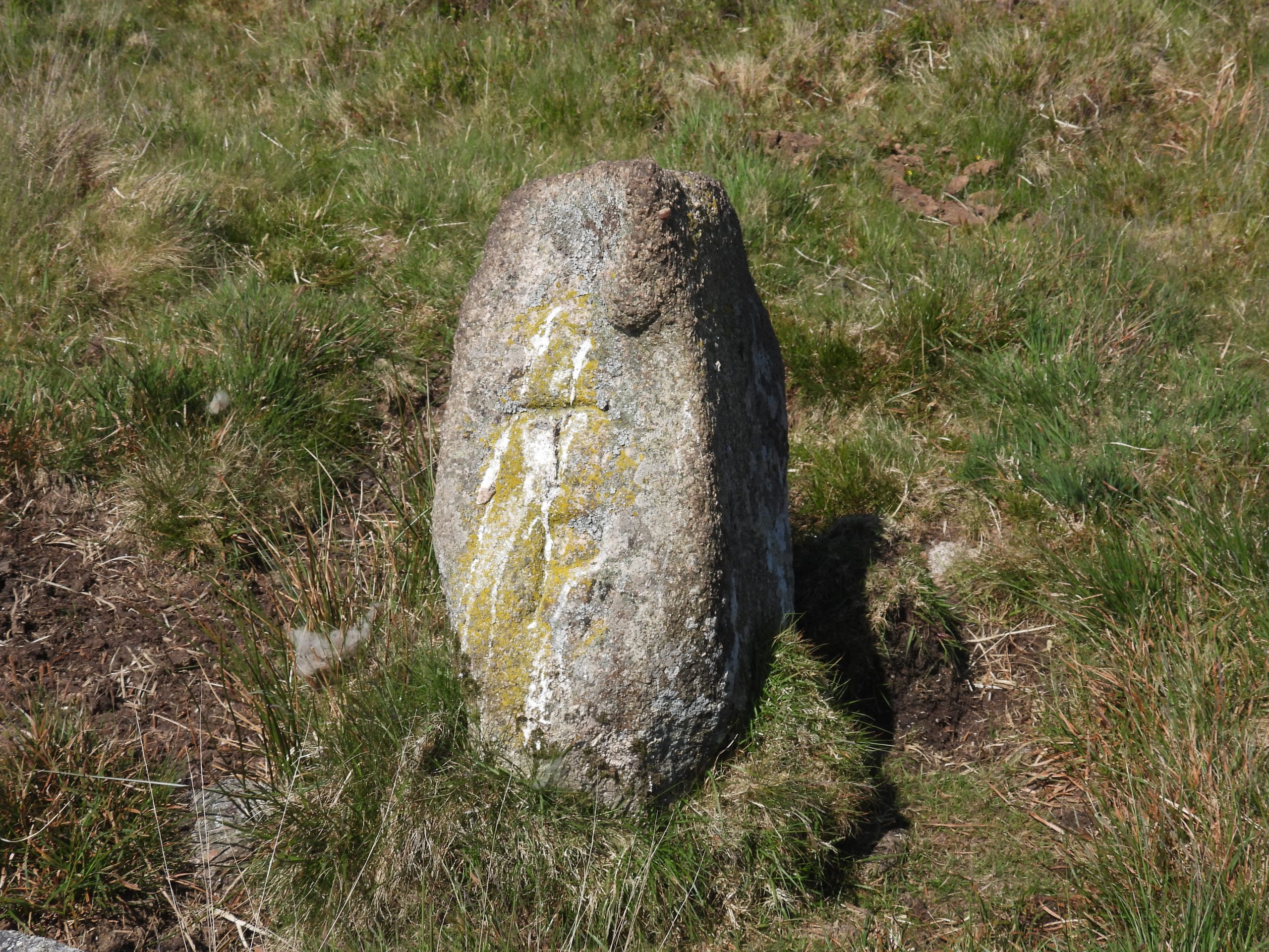 4. TP stone near Hound Tor a